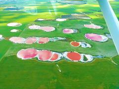 Lake Hillier or Pink Lakes | Le Grand