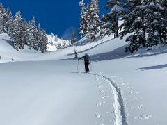 Private Whistler Backcountry Touring
