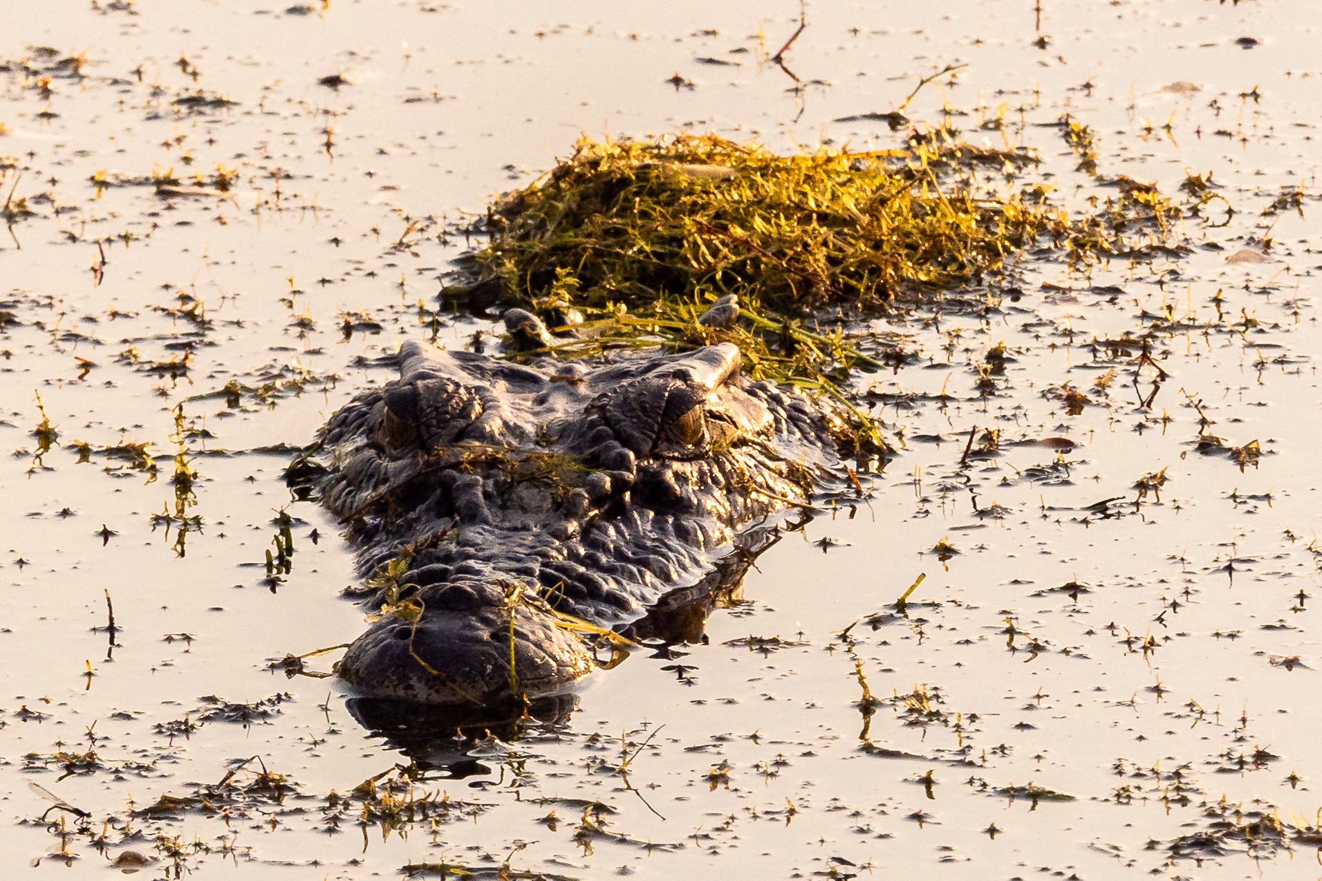 3 Day Kakadu and Litchfield Tour from Darwin(Basic Swag): Kakadu & Litchfield National Park | Bowali Visitor Centre | Aboriginal Rock Art 