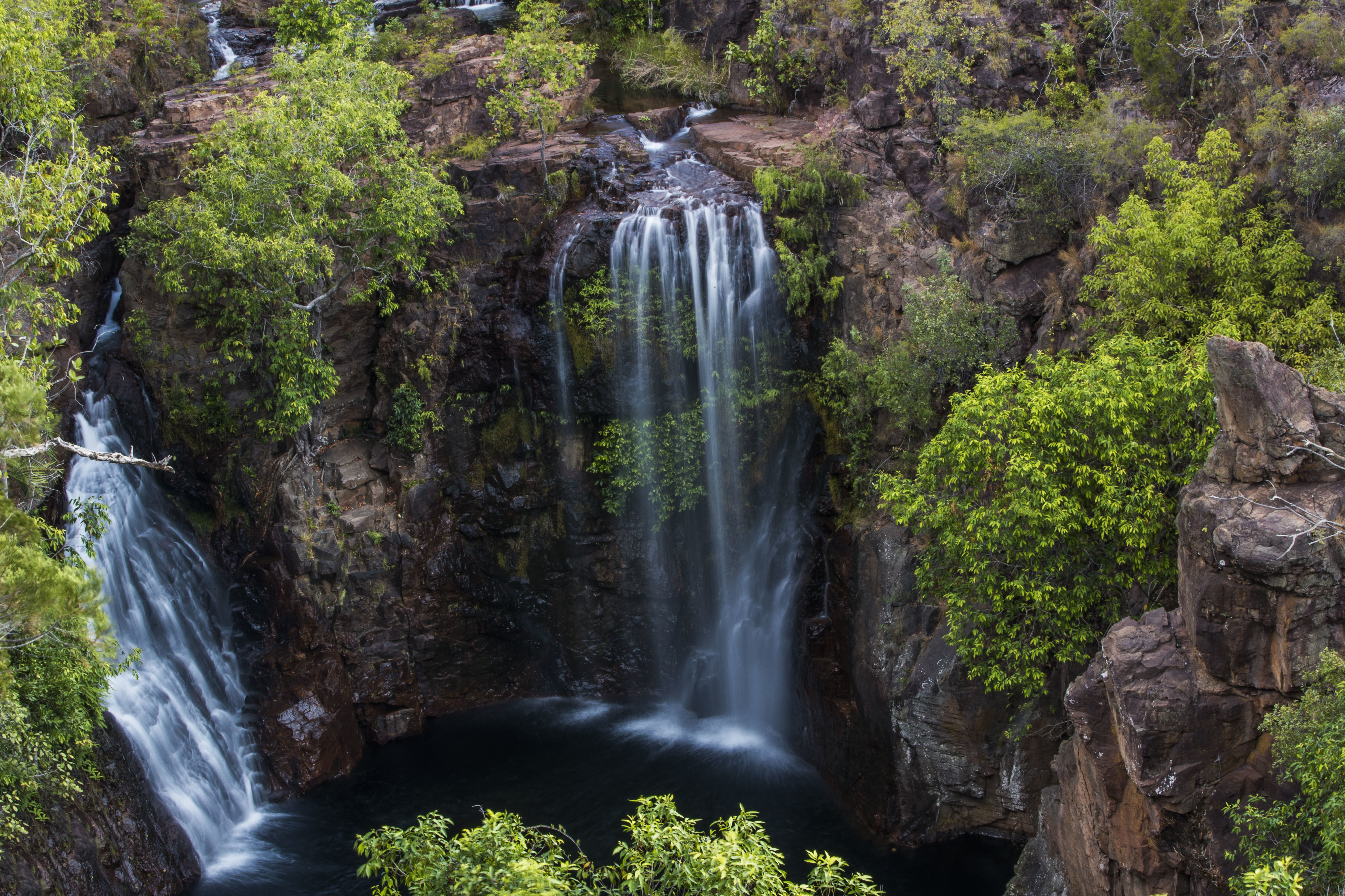 1-Day Tour to Litchfield National Park + Fogg Dam from Darwin