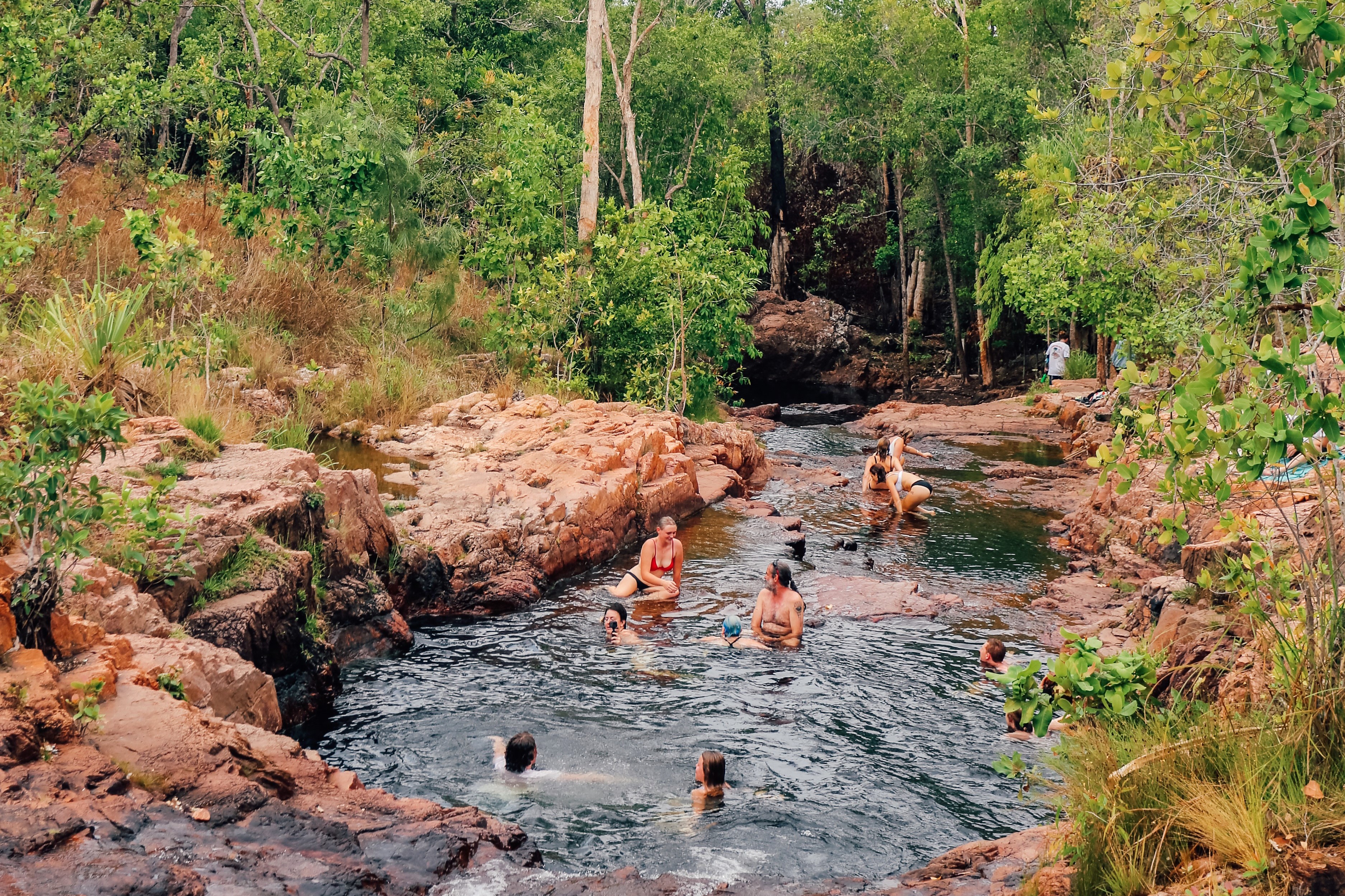 1-Day Tour to Litchfield National Park + Fogg Dam from Darwin
