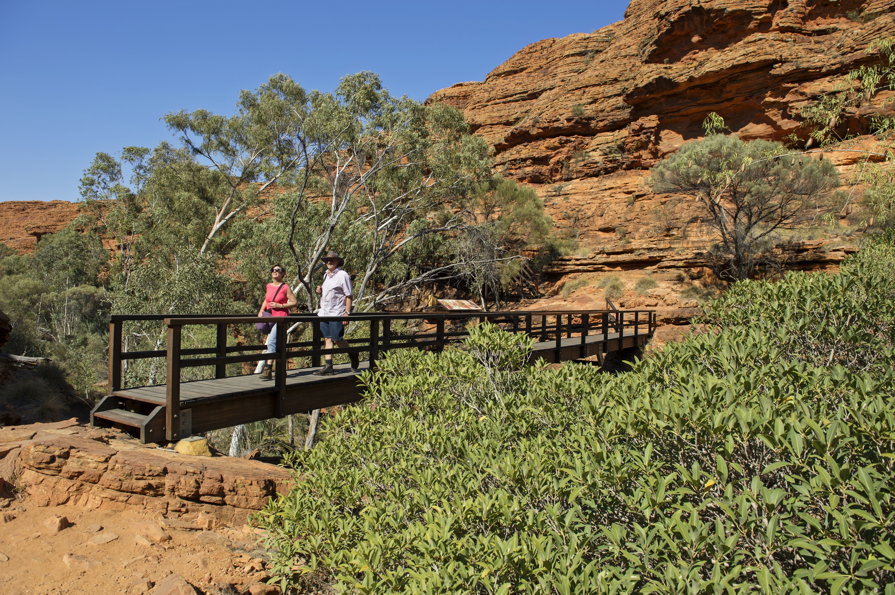 3-Day Uluru Kata Tjuta Safari Tour from Ayers Rock/Yulara(Safari Tent)