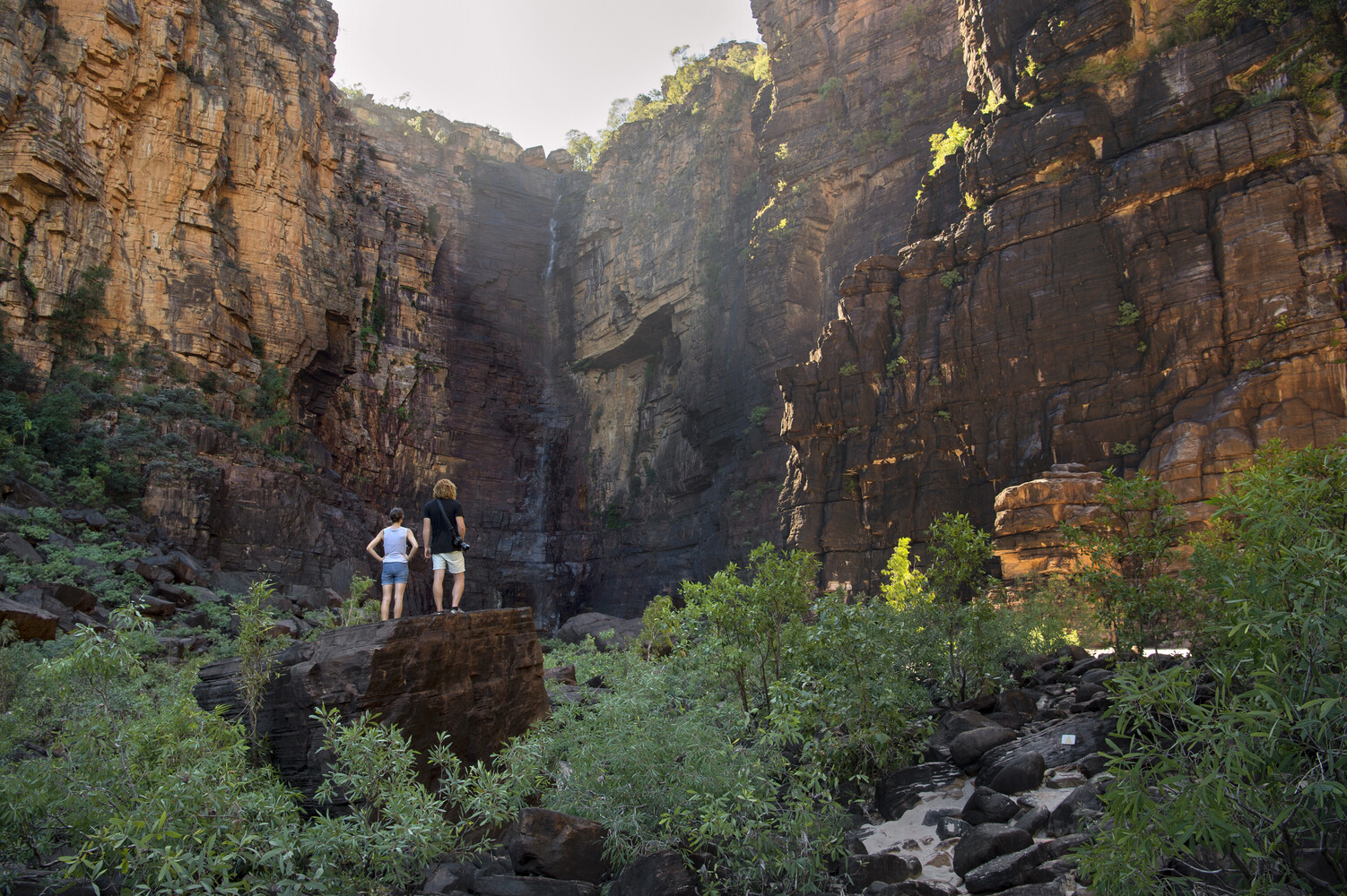 5-Day Kakadu Katherine Gorge Litchfield 4WD Camping Adventure Tour from Darwin(Bush Swag): Ubirr | Kakadu National Park | Jim Jim Waterfalls | Katherine Gorge |  Litchfield National Park