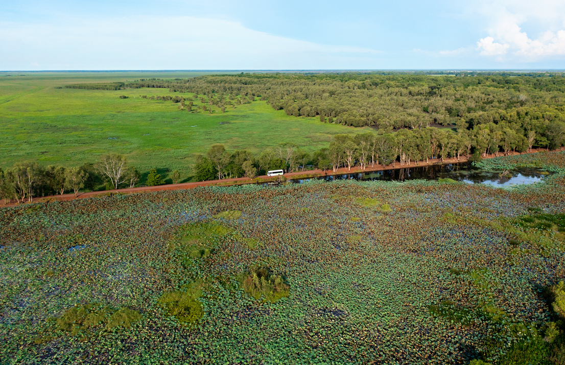 Autopia Tours: Jumping Crocodile Tour from Darwin