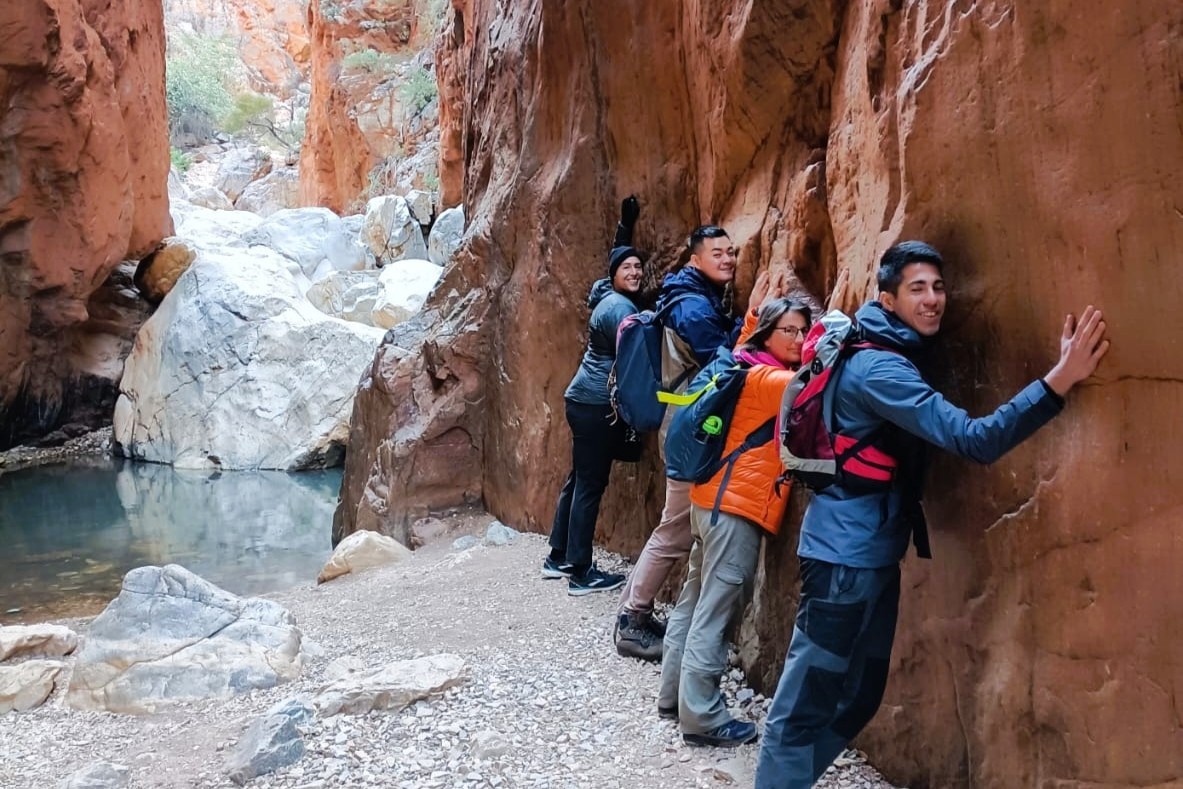 Wildlife Tours Australia: Red Centre Uluru Kings Canyon 3 Day Camping - Swag from Alice Springs
