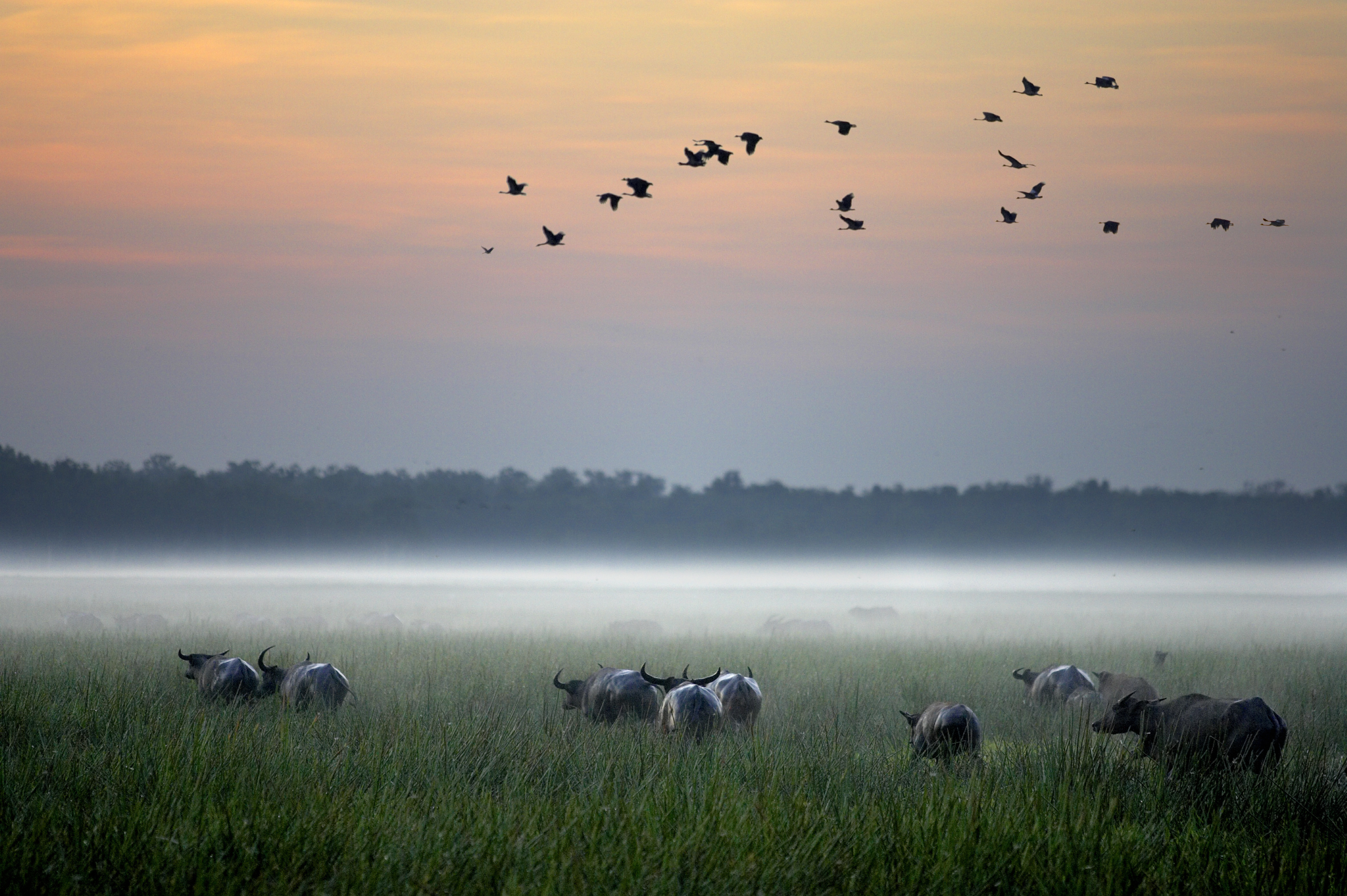 Autopia Tours: Kakadu Wilderness Escape from Darwin