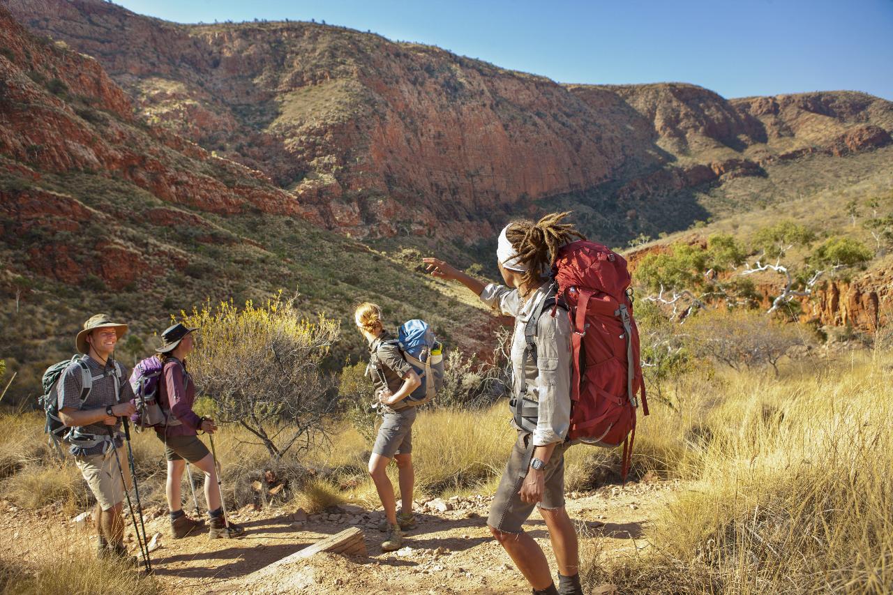 Walking Country: Larapinta Trail 5 Day Trek - Twin Share Safari Tent from Alice Springs