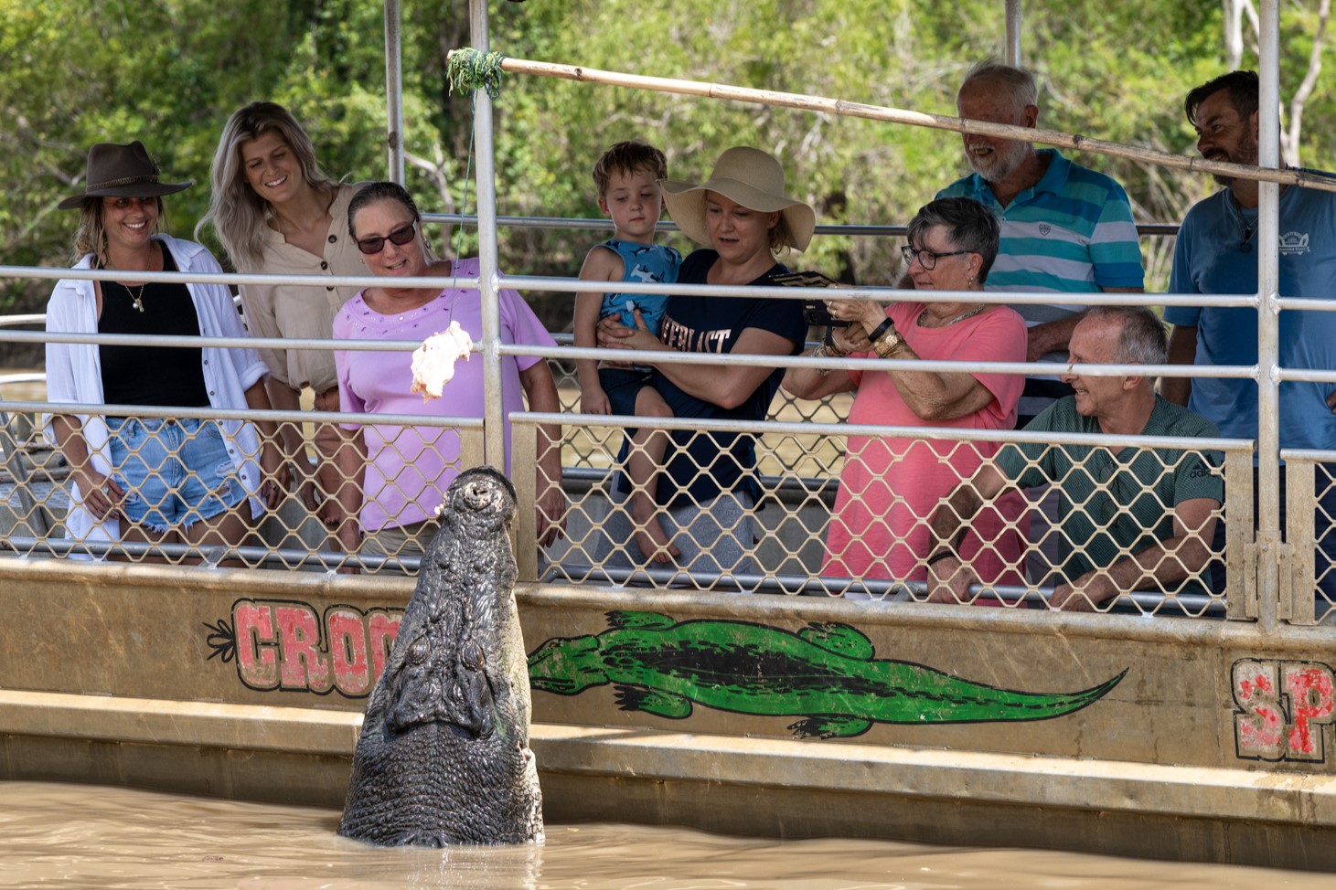1-Day Jumping Crocodile Cruise Tour from Darwin