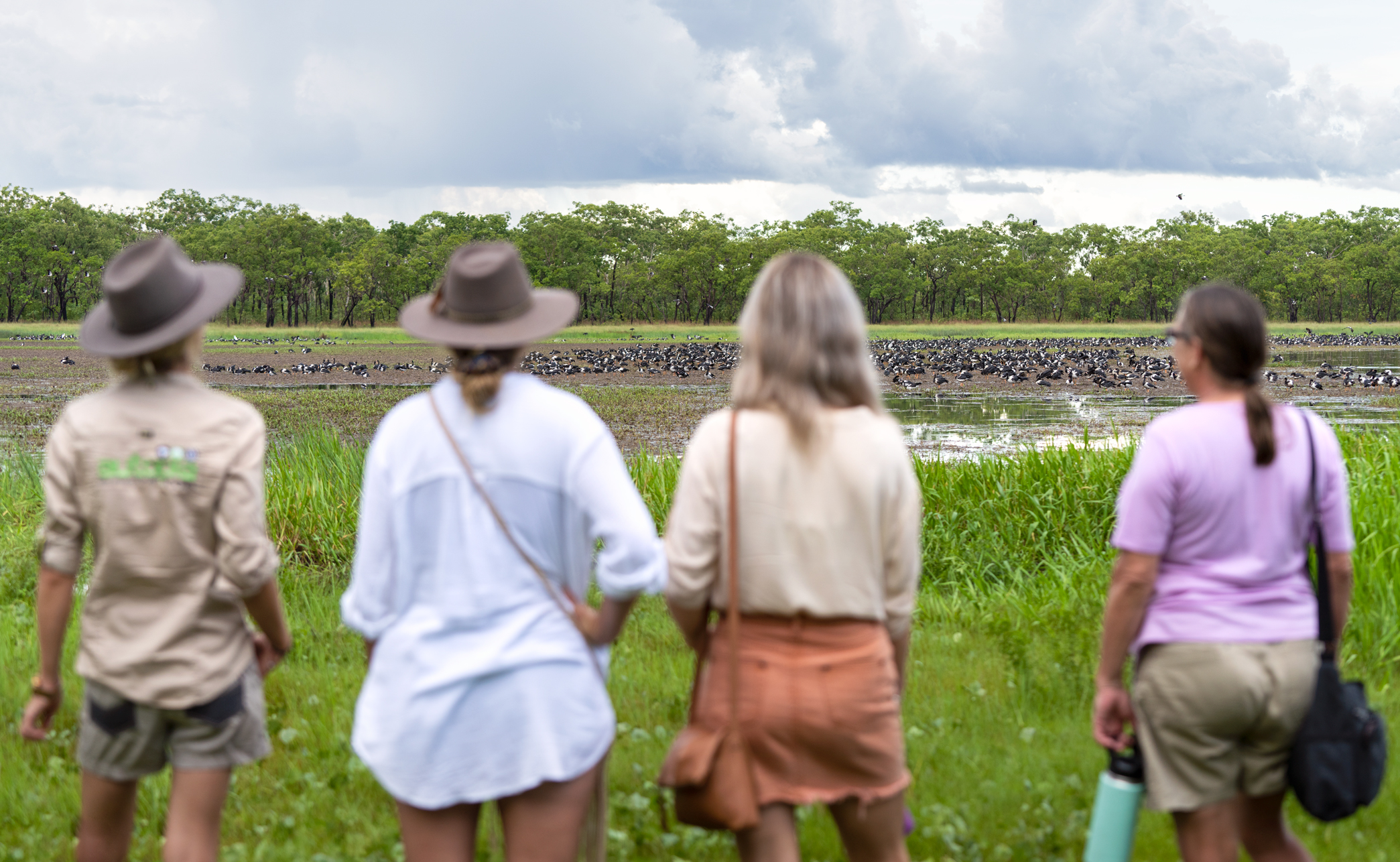 Autopia Tours: Jumping Crocodile Tour from Darwin