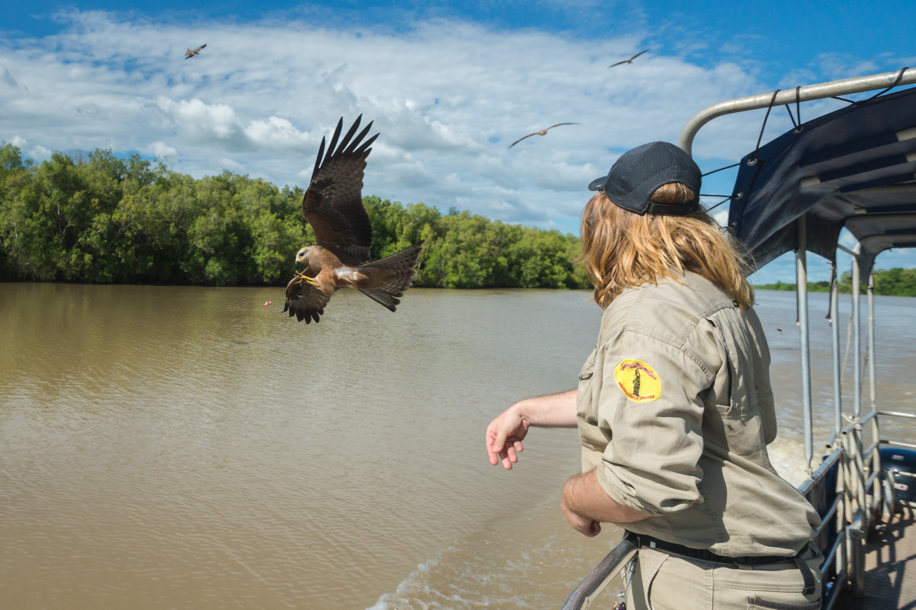1-Day Tour to Kakadu Wilderness Escape + Croc Cruise from Darwin