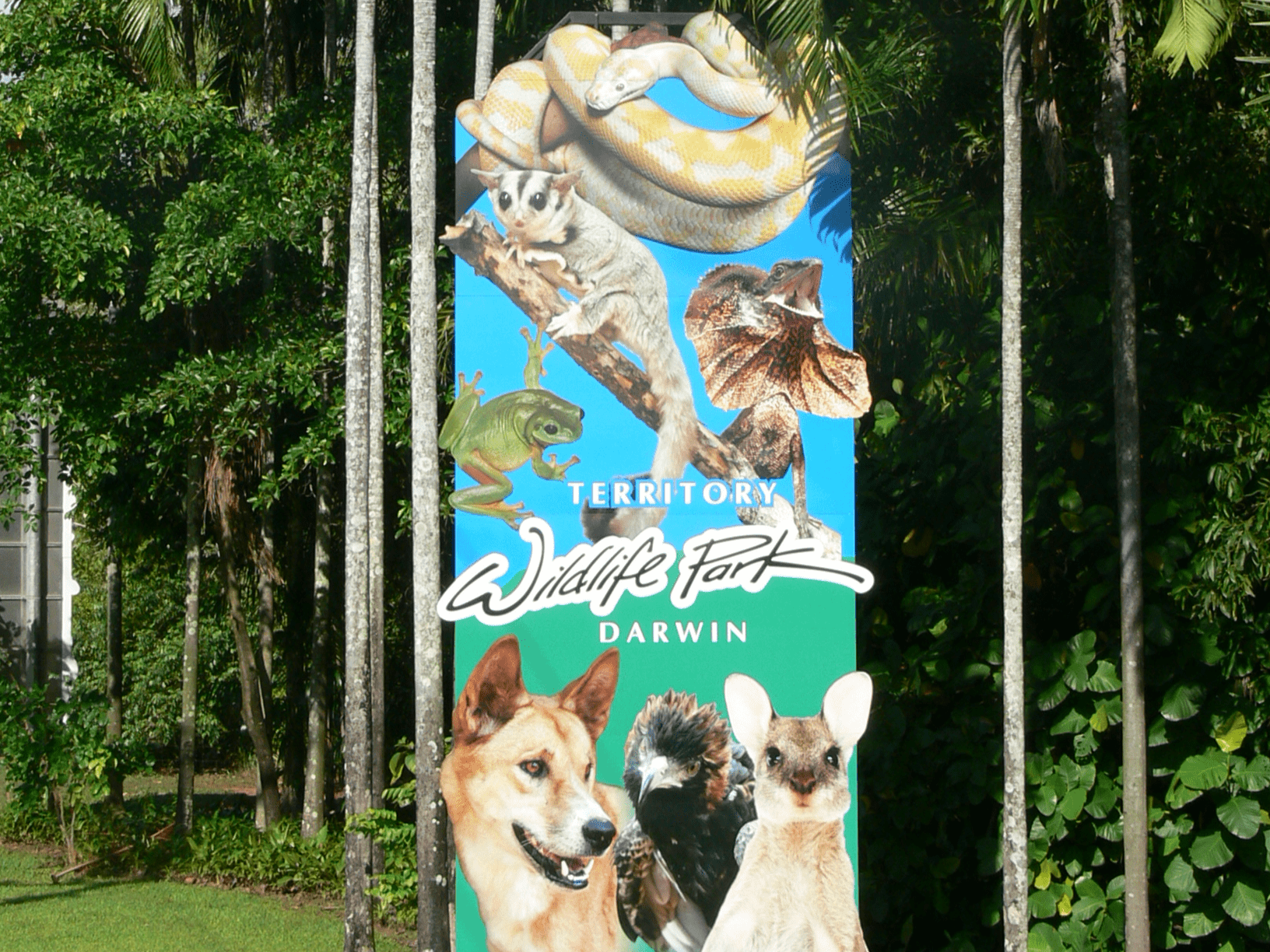 6-Hour Territory Wildlife Park Tour from Darwin