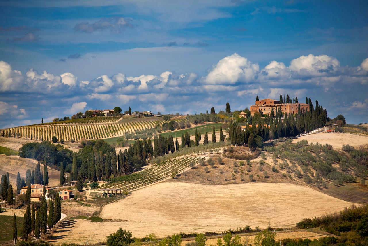 SoletoTravel: Private Gourmet Wine Tour in Tuscany — Chianti Classico - Photo 10