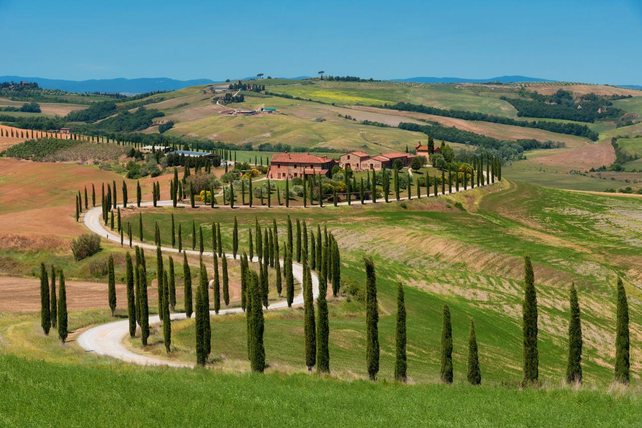 SoletoTravel: Private Gourmet Wine Tour in Tuscany — Chianti Classico - Photo 5