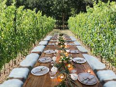 Tuscany, Lunch in the Vineyard with Wine Tasting