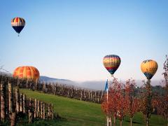 Icons of Yarra Valley