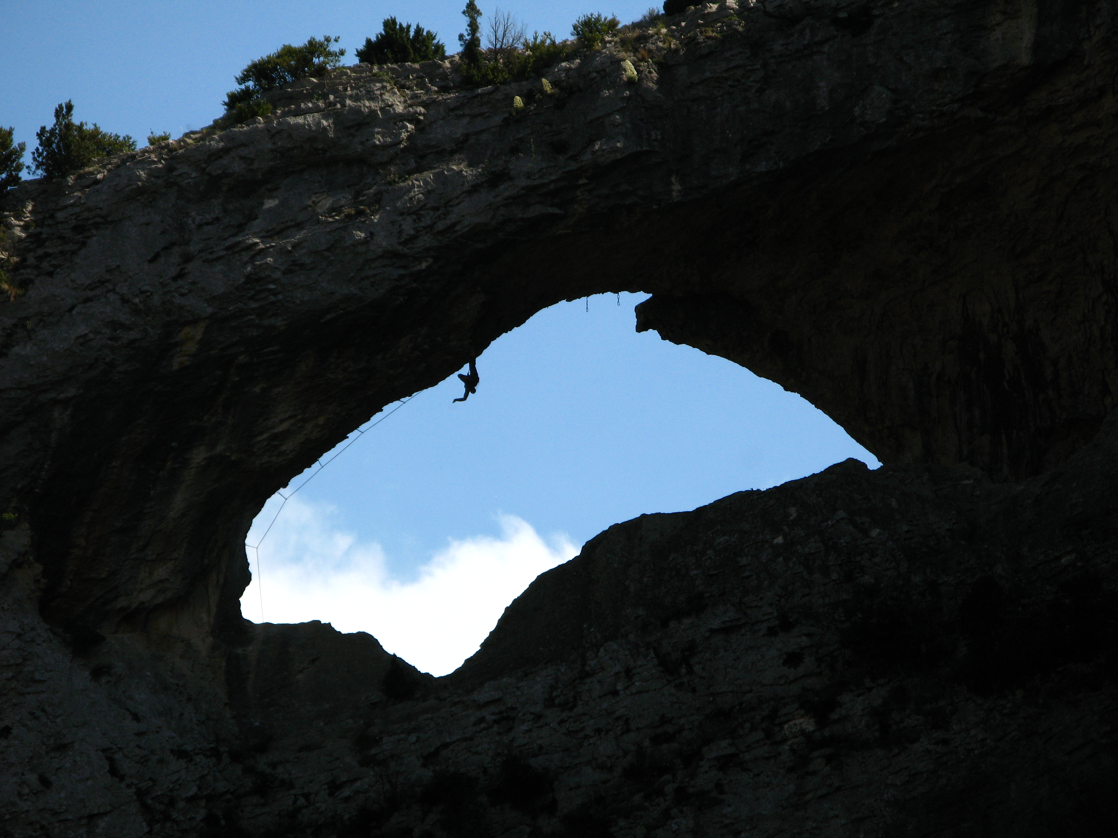 gallery-image