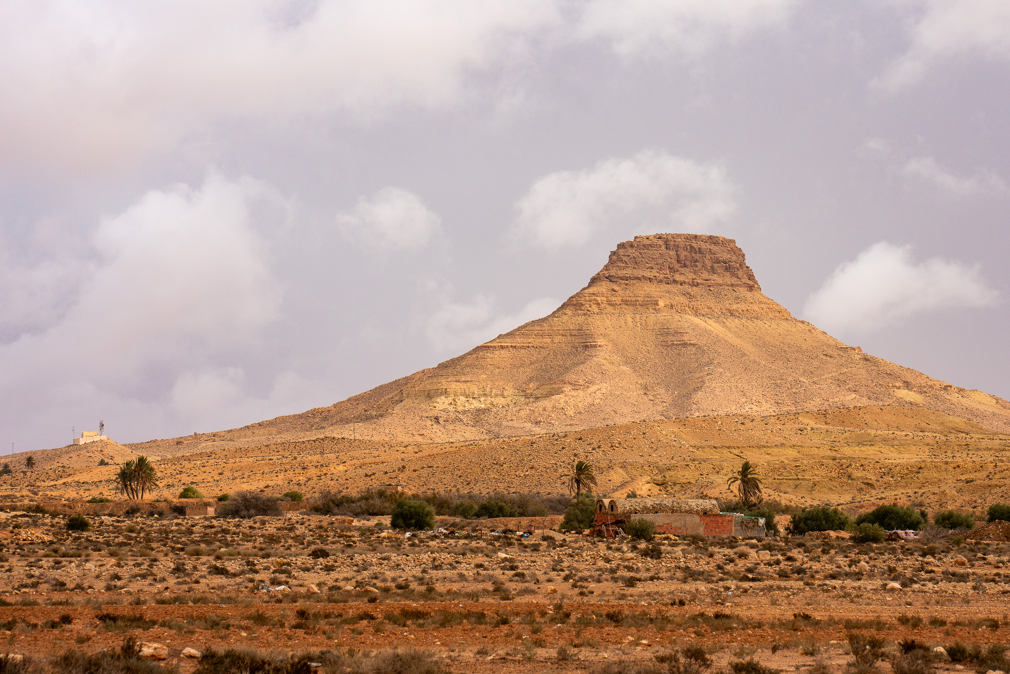 ATTRAVERSO LE DUNE - ESCURSIONI IN TUNISIA