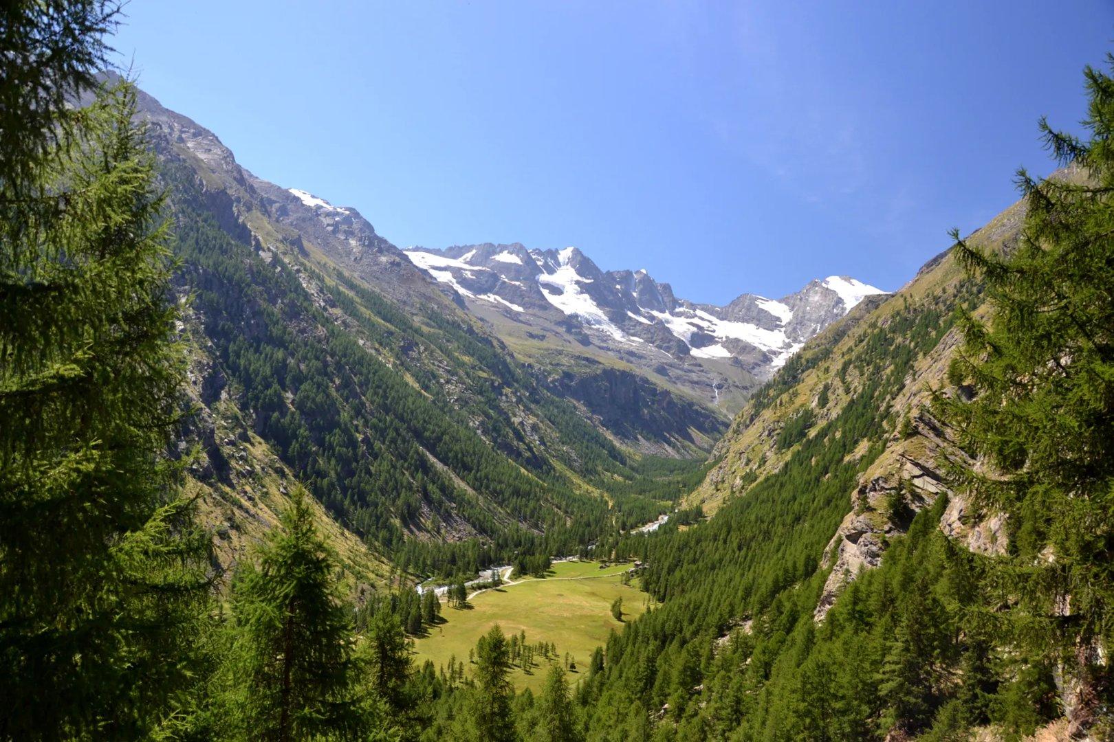 INTO THE WILD: ESCURSIONE AL GRAN PARADISO