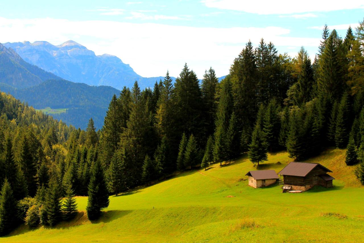 Tonadico - HIKING IN THE DOLOMITES - PALE DI SAN MARTINO | MapoTapo