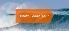 North Shore Oahu Tour