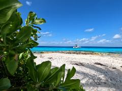 5 hr. Snorkeling & Sailing 