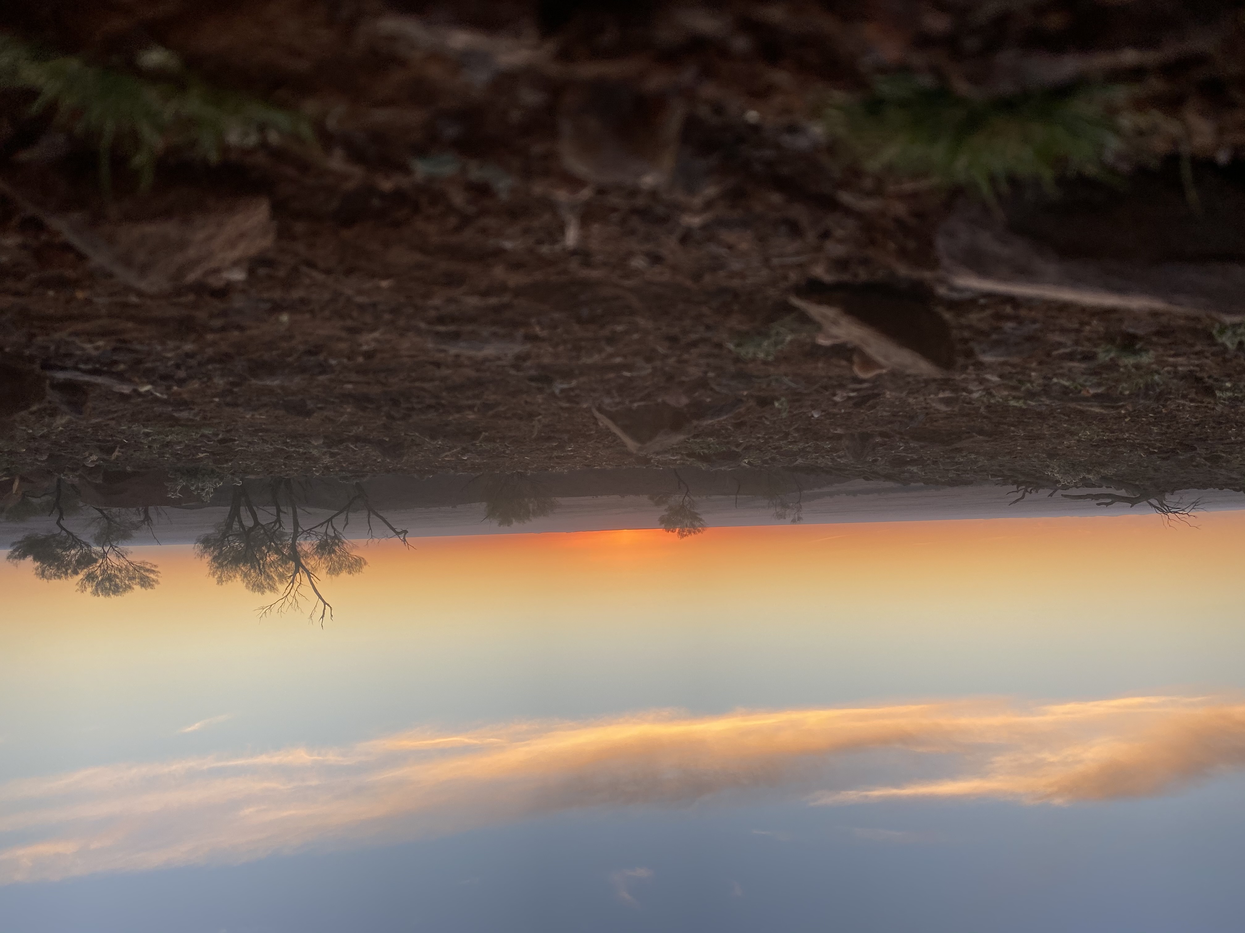 Outback Experience 7 day Tag-Along Adventure Tour