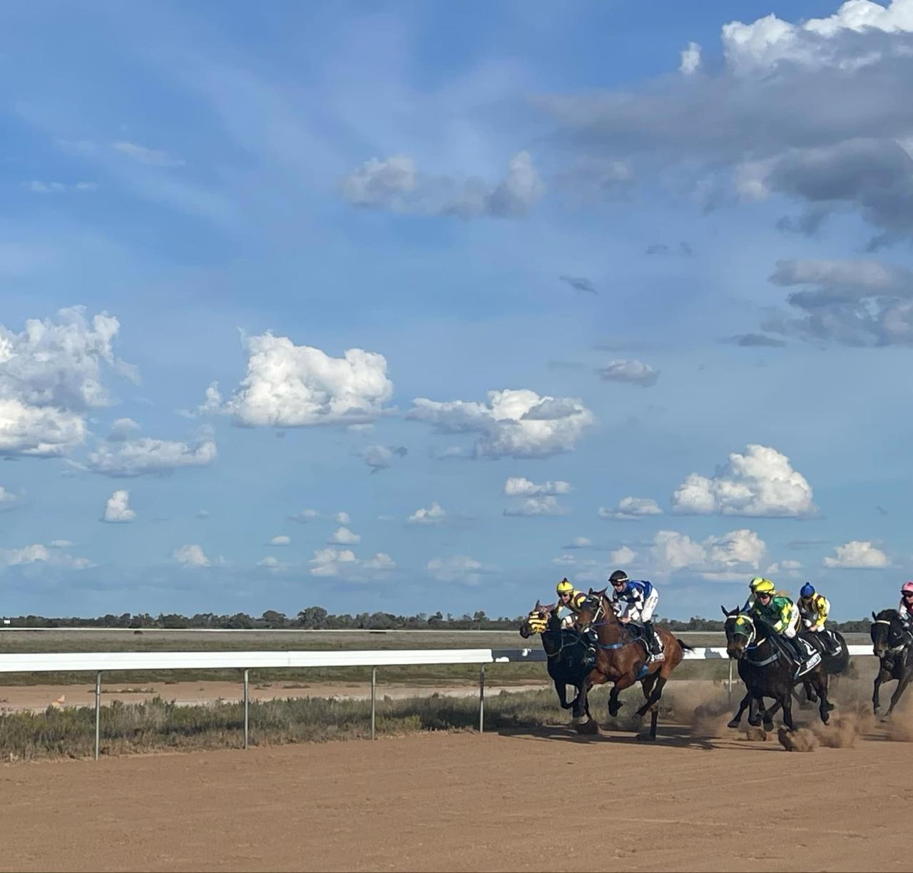 Darling-Baaka River Tour & Louth Races