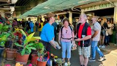 Country Market and park of Santo da Serra Tour