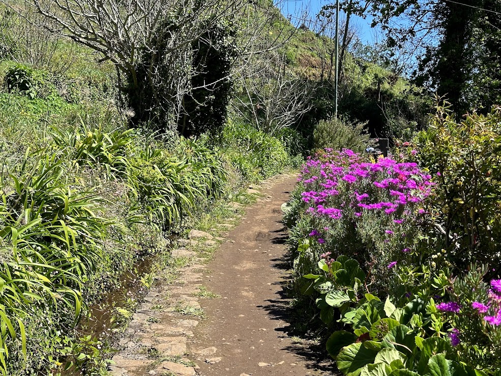 Levada Walk Vale Paraíso - Rochão