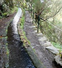 Queimadas / Caldeirão Verde (Levada Walk)