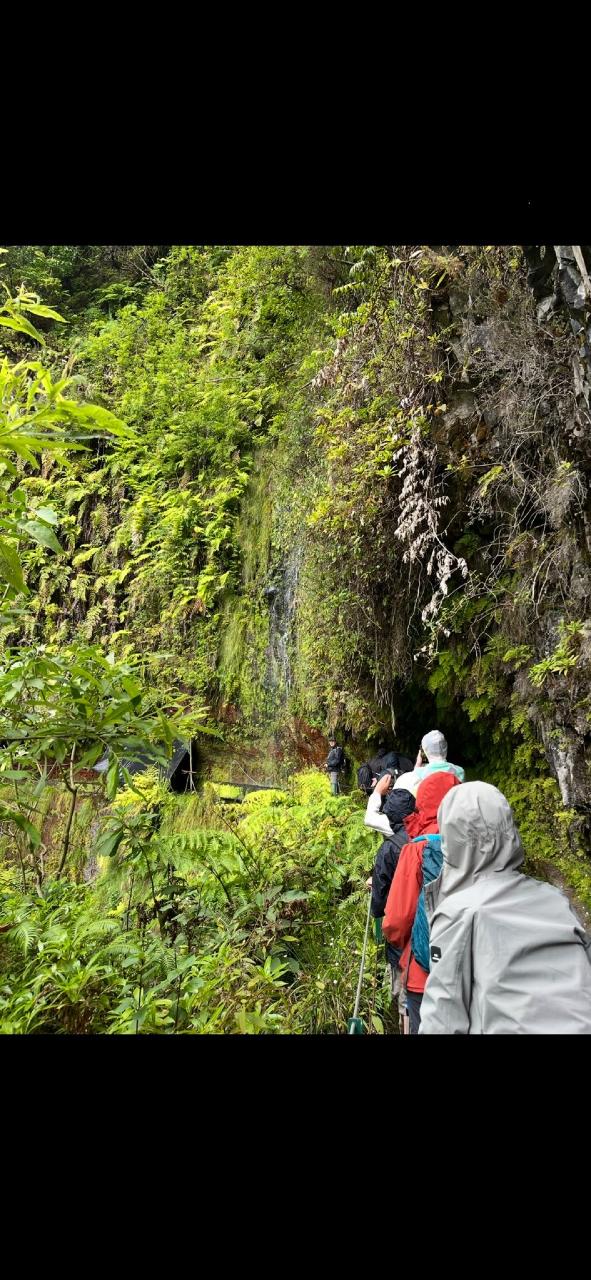 Levada do Rei