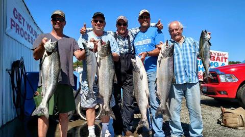 Columbia River Fall King Salmon (Woodland)