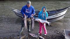 Satsop River Fall Salmon