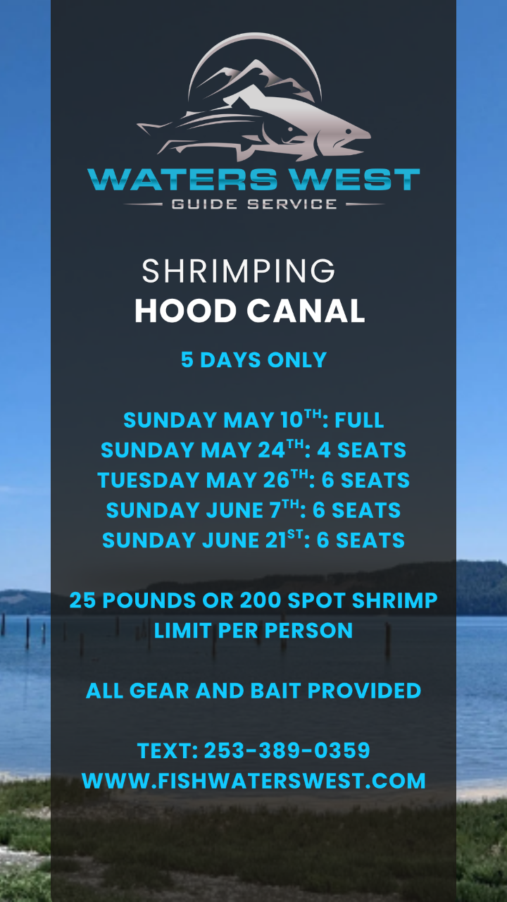 Hood Canal Shrimping
