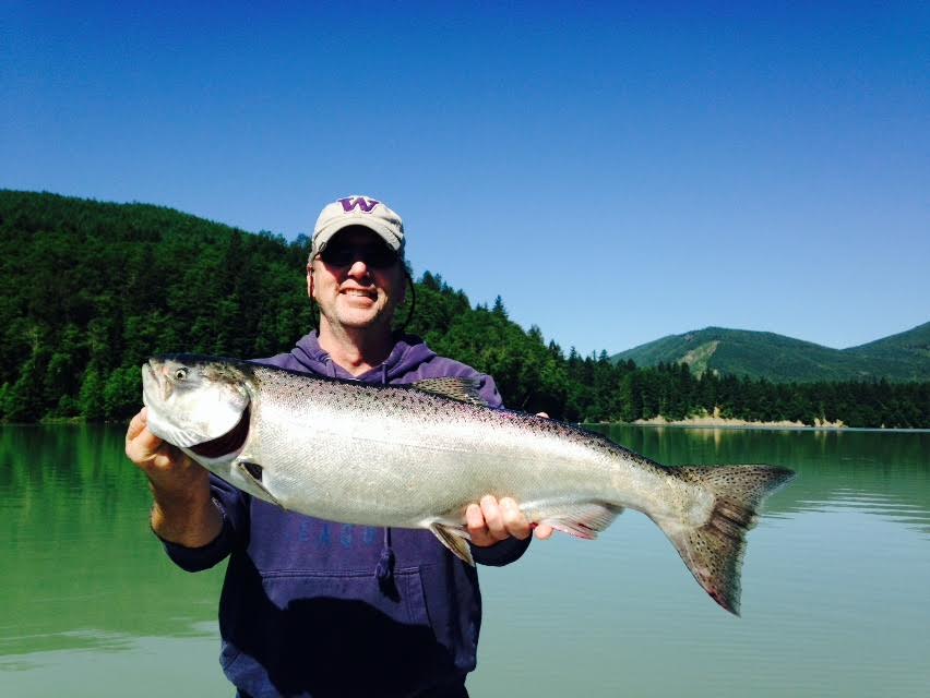 Cowlitz River King Salmon