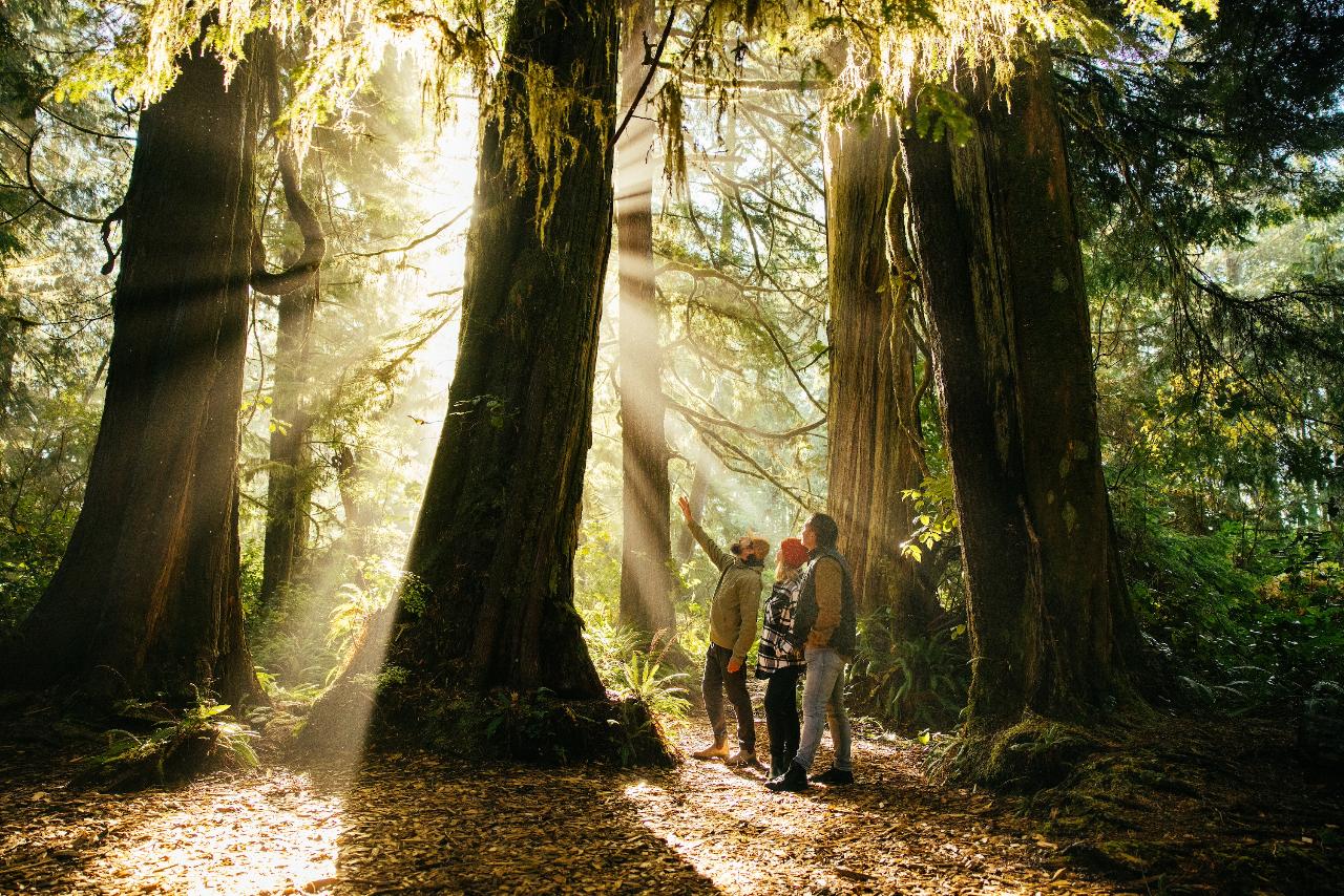Pacific Rim Nature Tour