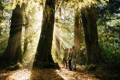 Pacific Rim Nature Tour