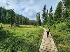 Forbidden Plateau Guided Hike