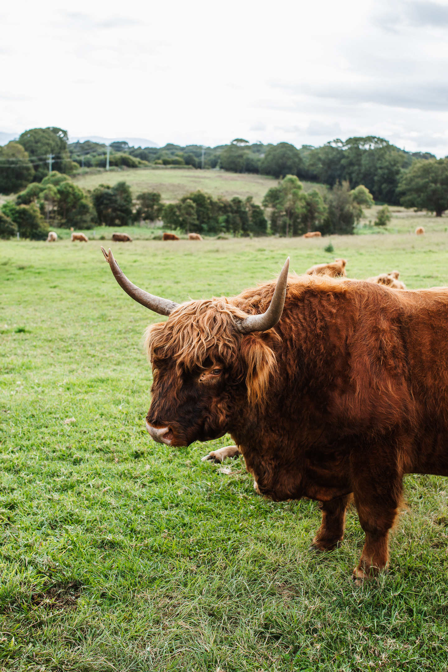 Scheduled Tour - The Farm, Lighthouse, Food & Drink (Byron Bay)