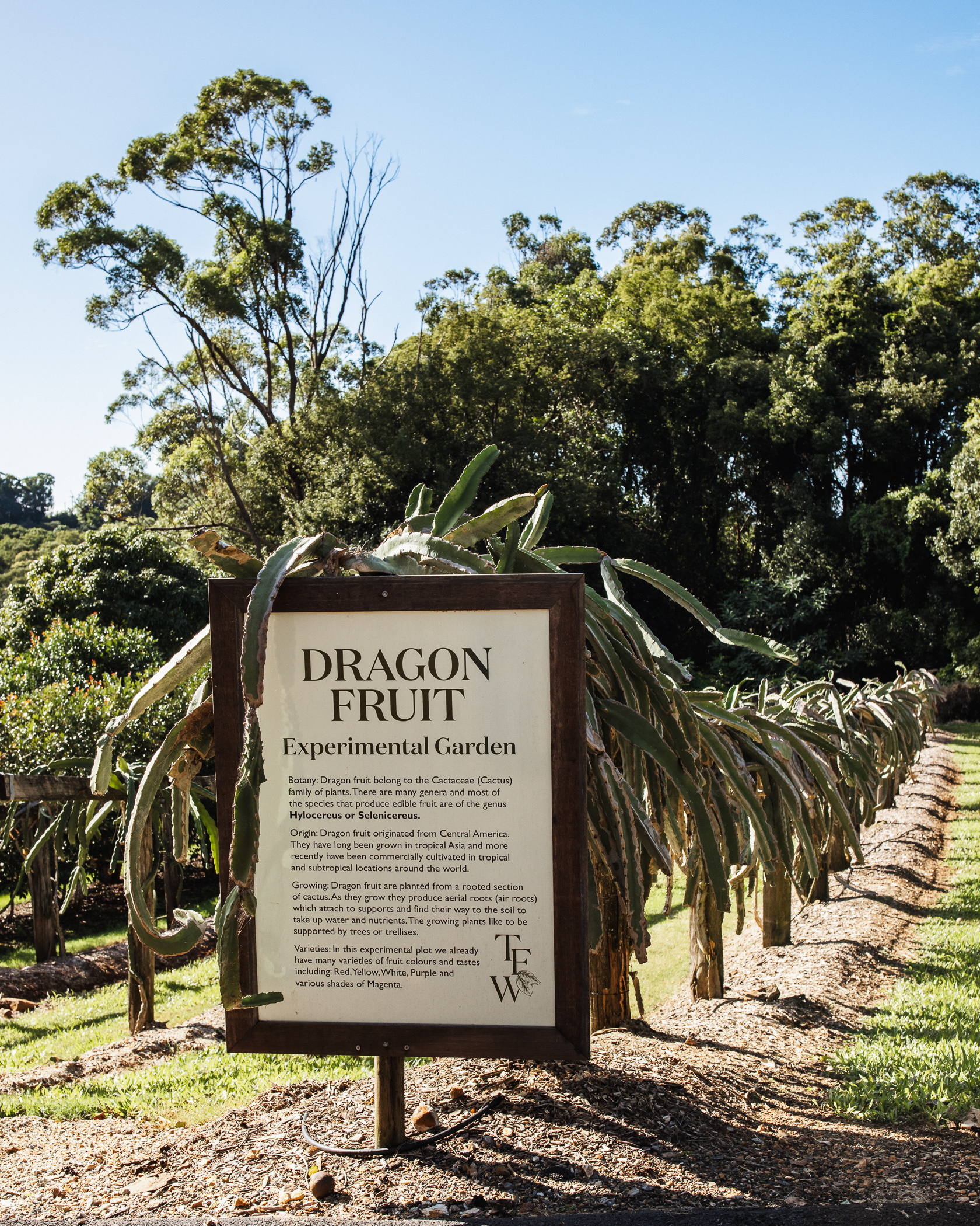 Tweed Valley Food & Culture (Public Tour)