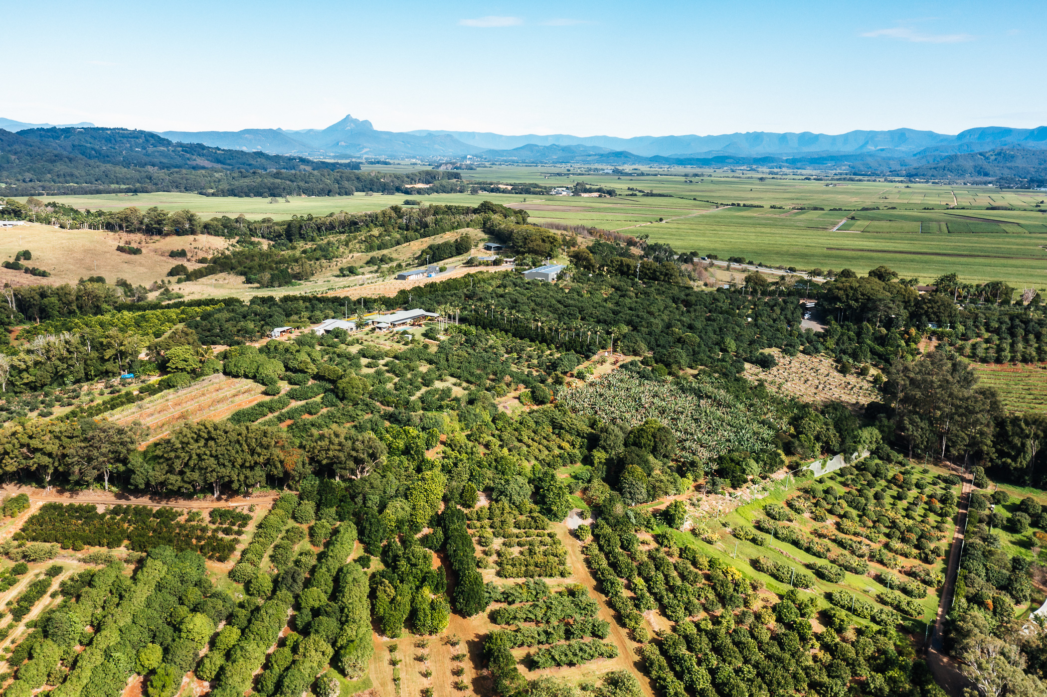 Tweed Valley Food & Culture (Public Tour)