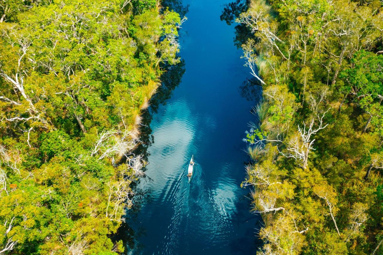 Tasty Everglades