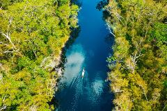 Tasty Everglades