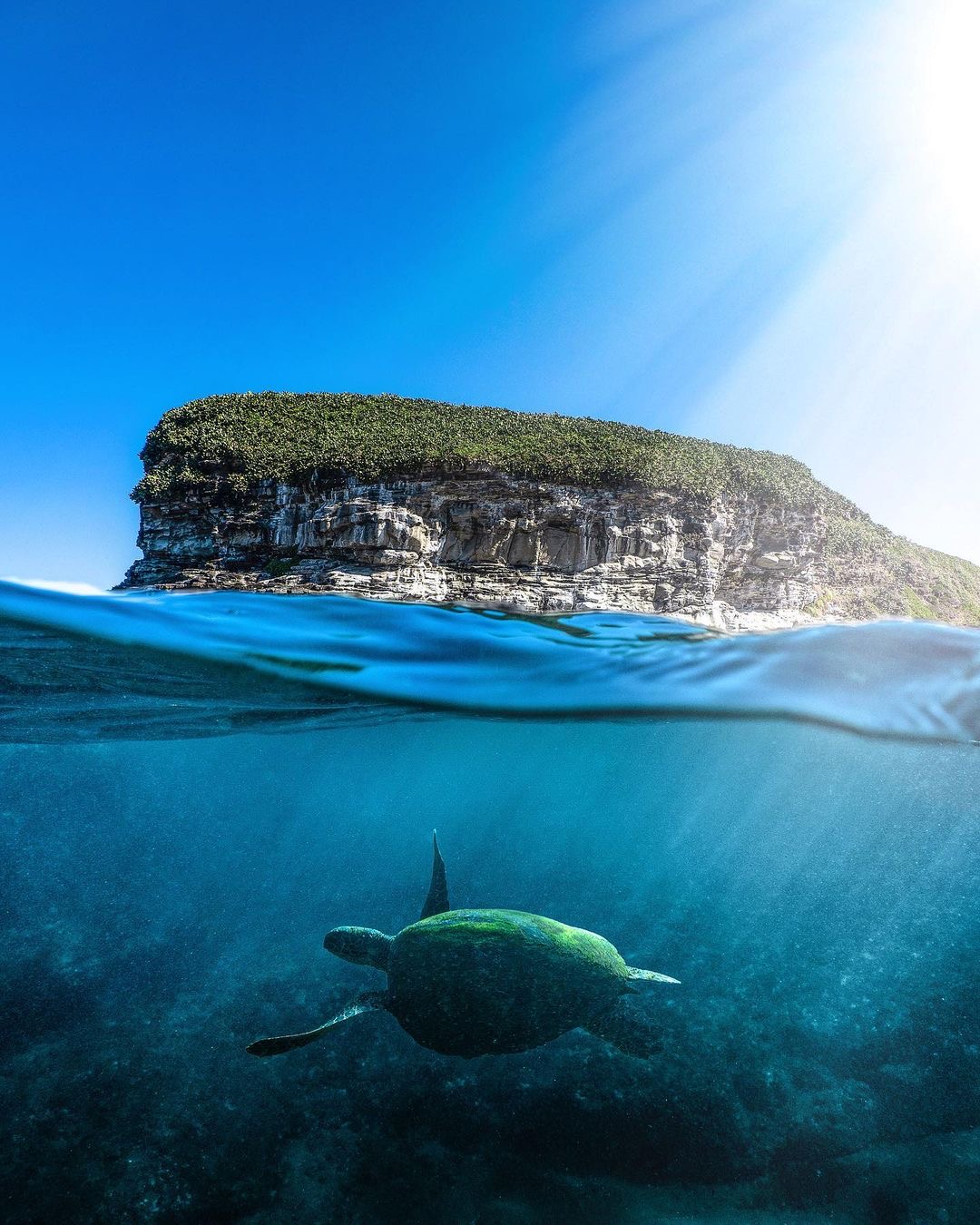 1.5HR Mudjimba Island Wildlife Safari