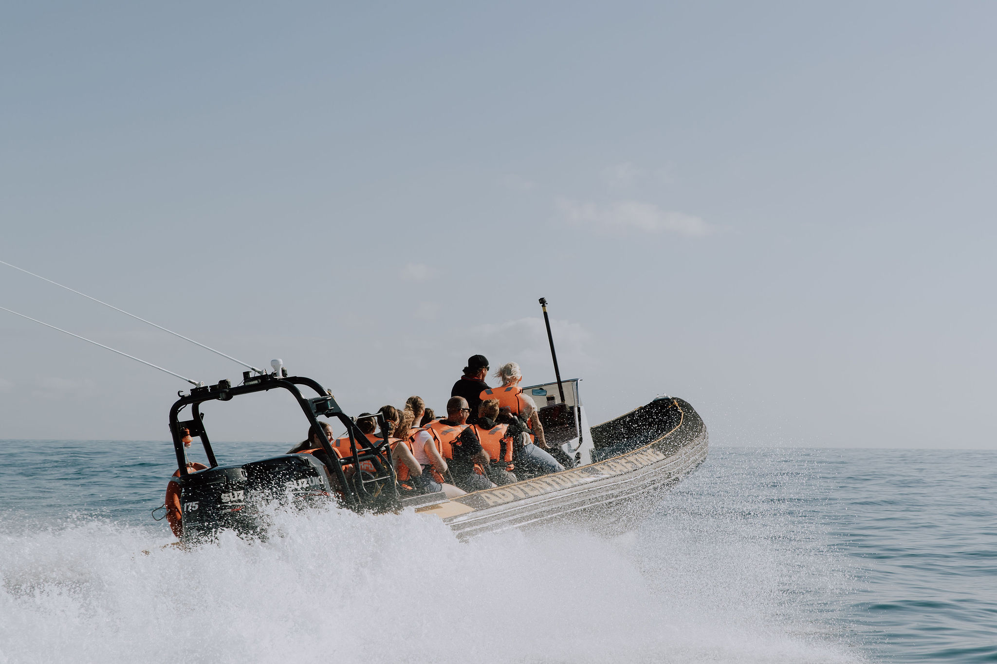 Adventure Rafting 1.5HR Whale Watching Adventure