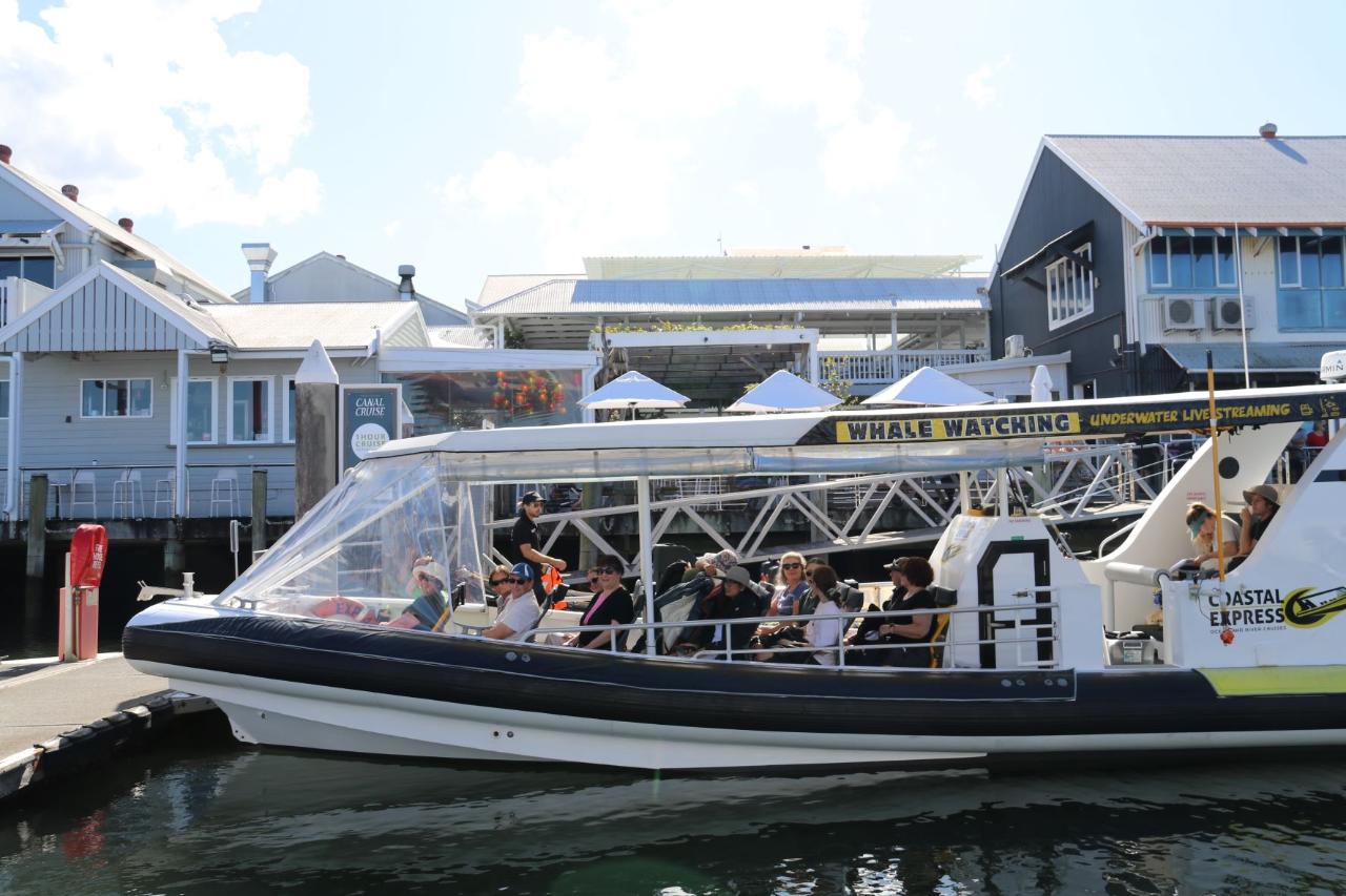 Mooloolaba Canal Christmas Lights Tour Adventure Rafting Reservations