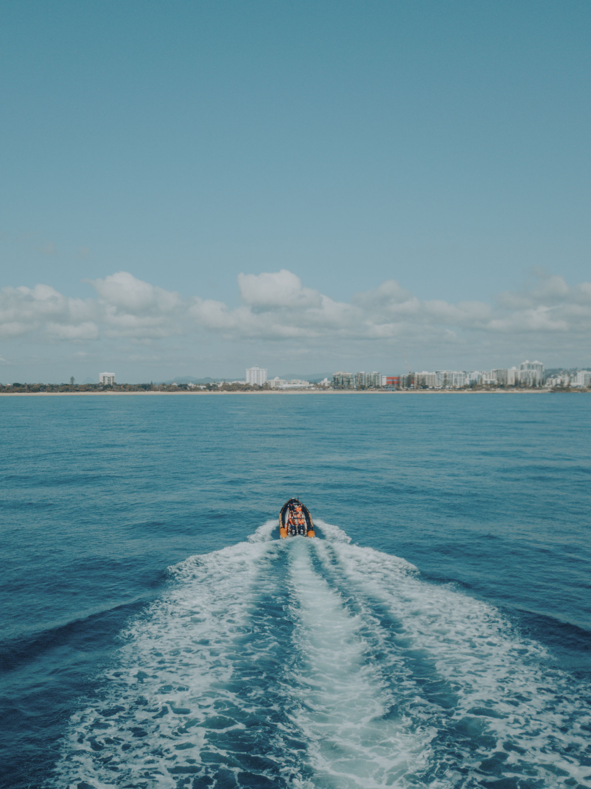 Adventure Rafting 1.5HR Whale Watching Adventure