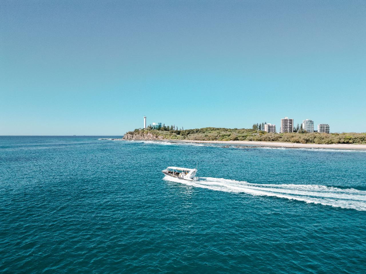 Mooloolaba Turtle Tour (Nov - May)