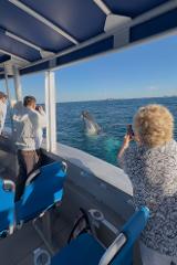 2 Hour Mooloolaba Whale Watching Experience (June - Oct)