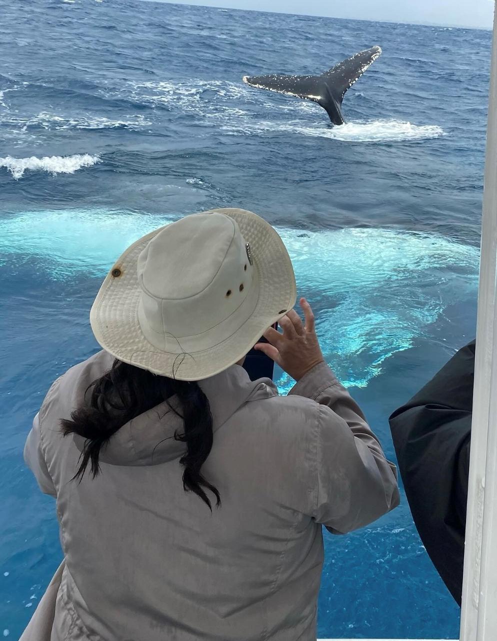 2HR Mooloolaba Whale Watching Experience (June - Oct)